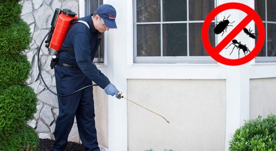 Osmaniye Bit İlaçlama böcek ilaçlama ve haşere kontrolü — ilaclama-tr.com